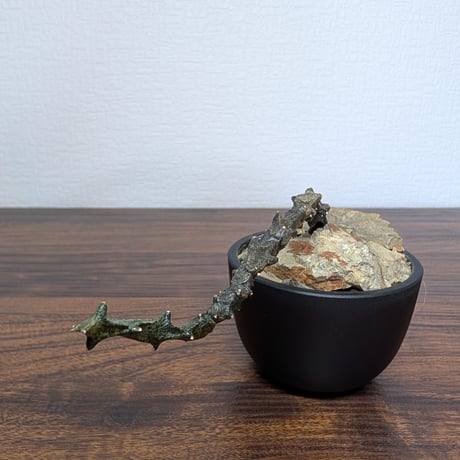 セロペギア ボッセリ R85-25