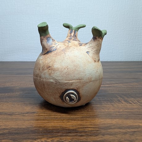 パキポディウムグラキリス | STORES