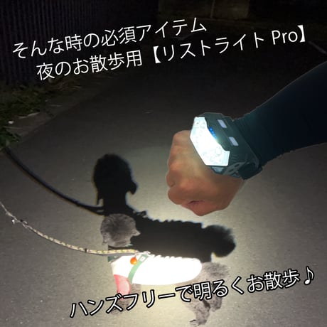 【リストライトpro】犬用散歩LEDライト 夜散歩用 腕ライト 明るい軽量懐中電灯 お散歩グッズ リストライト USB充電式 800ルーメン 専用ケース付き 防災グッズ キャンプ用品