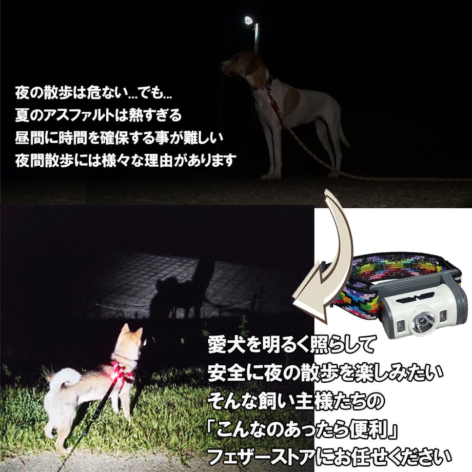 6900266829bb803a5fa7c5f6