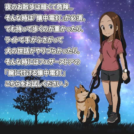 【リストライト500】犬用散歩LEDライト 夜散歩用 腕ライト 明るい軽量懐中電灯 お散歩グッズ リストライト USB充電式 500ルーメン 専用ケース付き 防災グッズ キャンプ用品