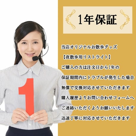 【リストライトmini】 散歩 ライト 犬用散歩LED 夜散歩用 コンパクトミニタイプ 軽量懐中電灯 お散歩グッズ　USB充電式 140ルーメン 専用ケース付き 防災グッズ キャンプ用品 災害グッズ