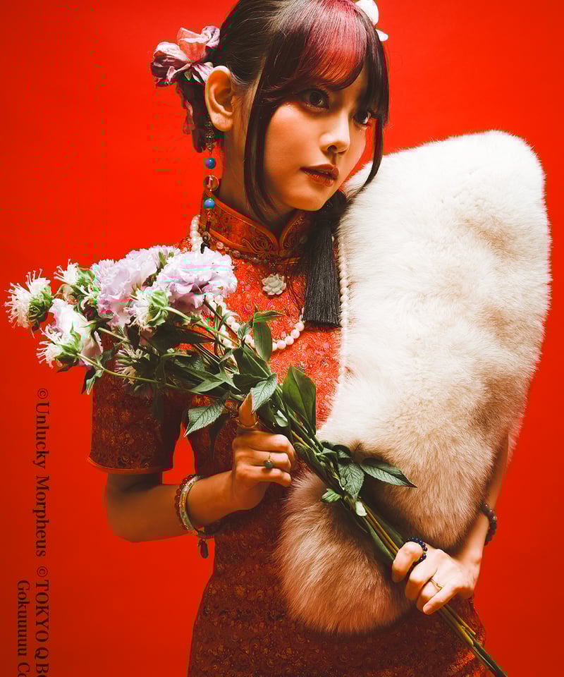 ミニポスター＋ブックカバー＋メイキングムービー】限定版（特典会なし