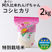 令和7年度産 れんげちゃん【ミルキークイーン】2kg ポリ袋 | つづき農場