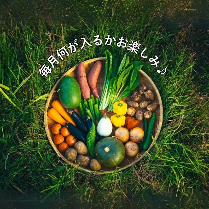 毎月お届け！送料無料！お野菜定期便セット（毎月中旬発送） | つづき農場