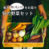 毎月お届け！送料無料！お野菜定期便セット（毎月中旬発送） | つづき農場
