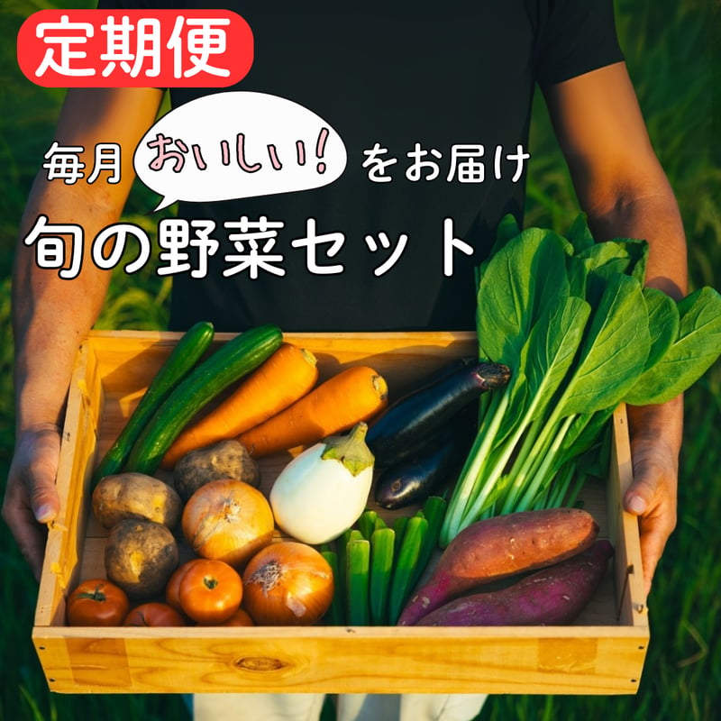 毎月お届け！送料無料！お野菜定期便セット（毎月中旬発送） | つづき農場