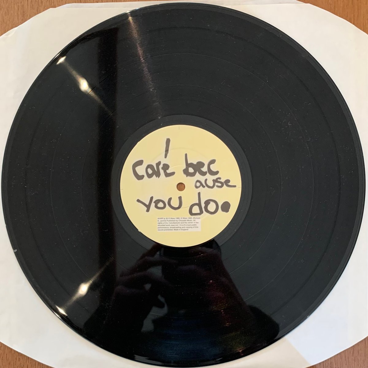 Aphex Twin - I Care Because You Do (2LP/Used) |