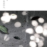 津田貴司『風の人、木立の人』