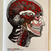 The NiSSiN ARTWoRKs『Face Cross Section』