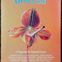 『Broccoli 08号』(古書)