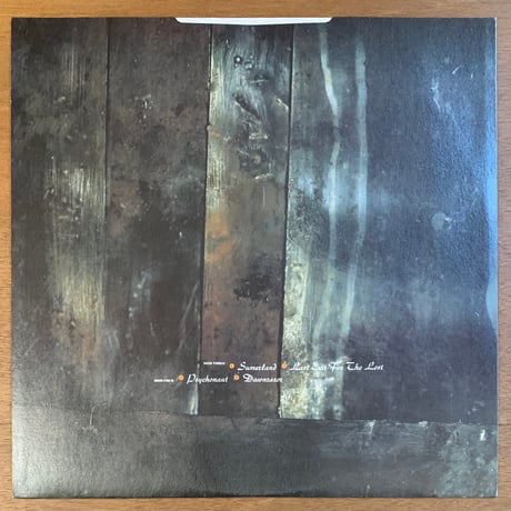 Fields Of The Nephilim - Earth Inferno (2LP/Used)
