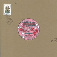 Wool & The Pants / NONCHELEEE『熱帯夜 / Shabbu Yaam