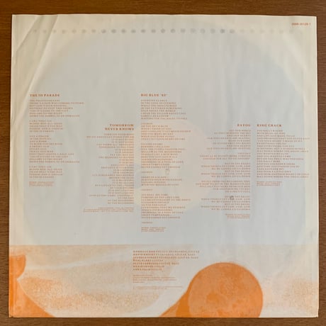 Danielle Dax - Blast The Human Flower (LP/Used)