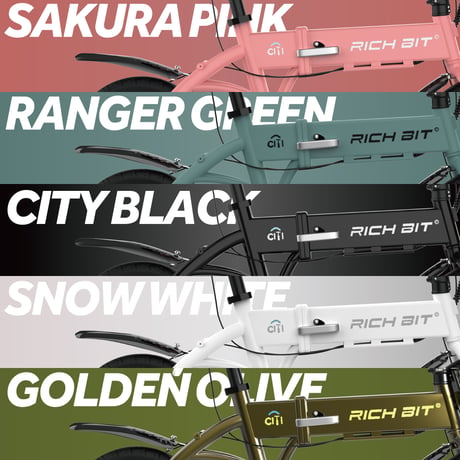 特定小型原動機付自転車 免許不要 電動バイク RICHBIT CITY 電動キックボード にはない 安定感 軽量 公道走行可能 折り畳み