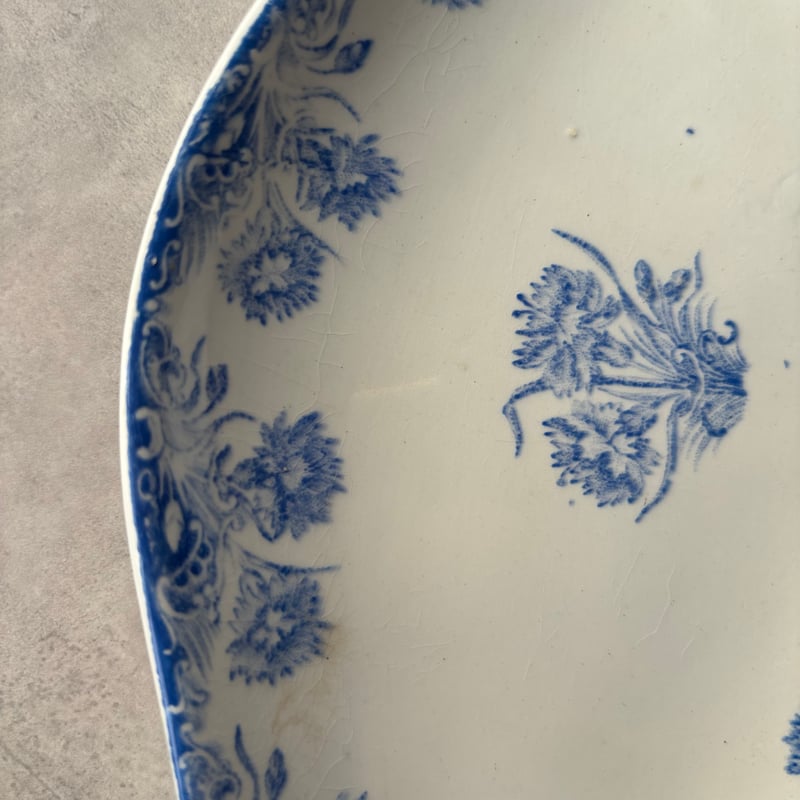 Saint Amand ラヴィエ OEILLETS Saint Amand ラヴィエ OEILLETS