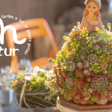 plants funshop natur