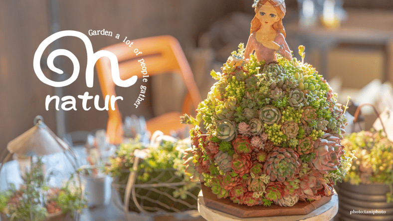 plants funshop natur
