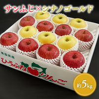 青森県産 サンふじ×シナノゴールド 約5kg