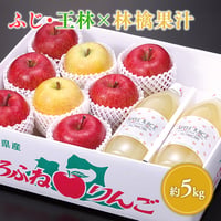 青森県産 ふじ×王林×りんごジュース 約5kg
