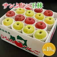 青森県産 サンふじ×王林 約10kg