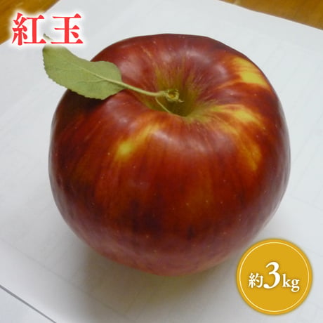 青森県産 葉とらず紅玉 約3kg