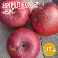 青森県産 お得用りんご（ふじ） 約10kg