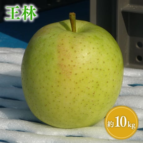 青森県産 王林 約10kg