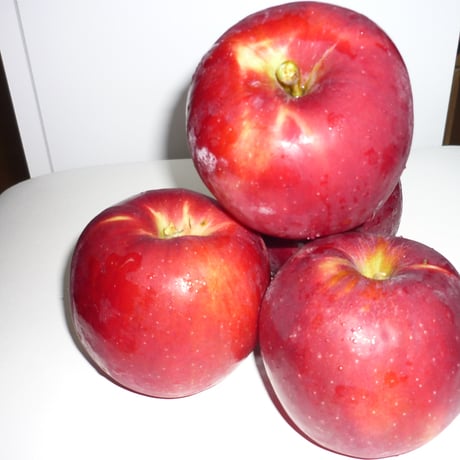 青森県産 葉とらず紅玉 約5kg