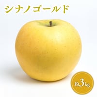 青森県産 シナノゴールド 約3kg
