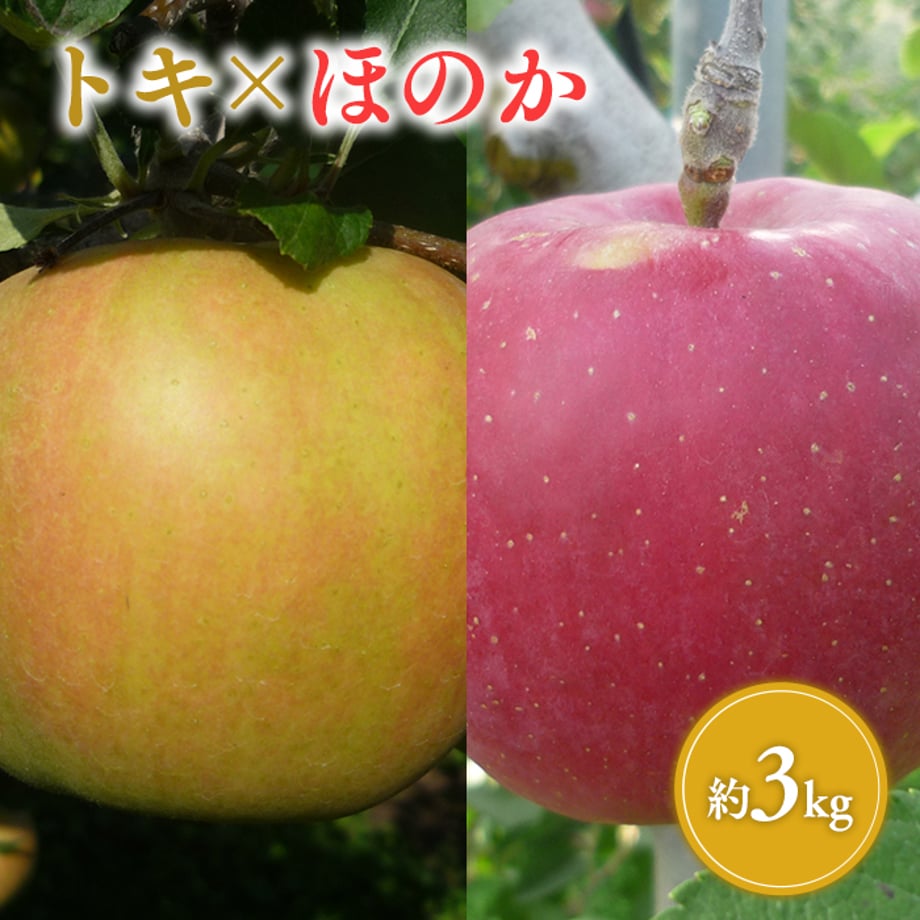 673450f0b363bc03a73405ca