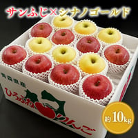 青森県産 サンふじ×シナノゴールド 約10kg