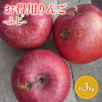 青森県産 お得用りんご（ふじ） 約3kg