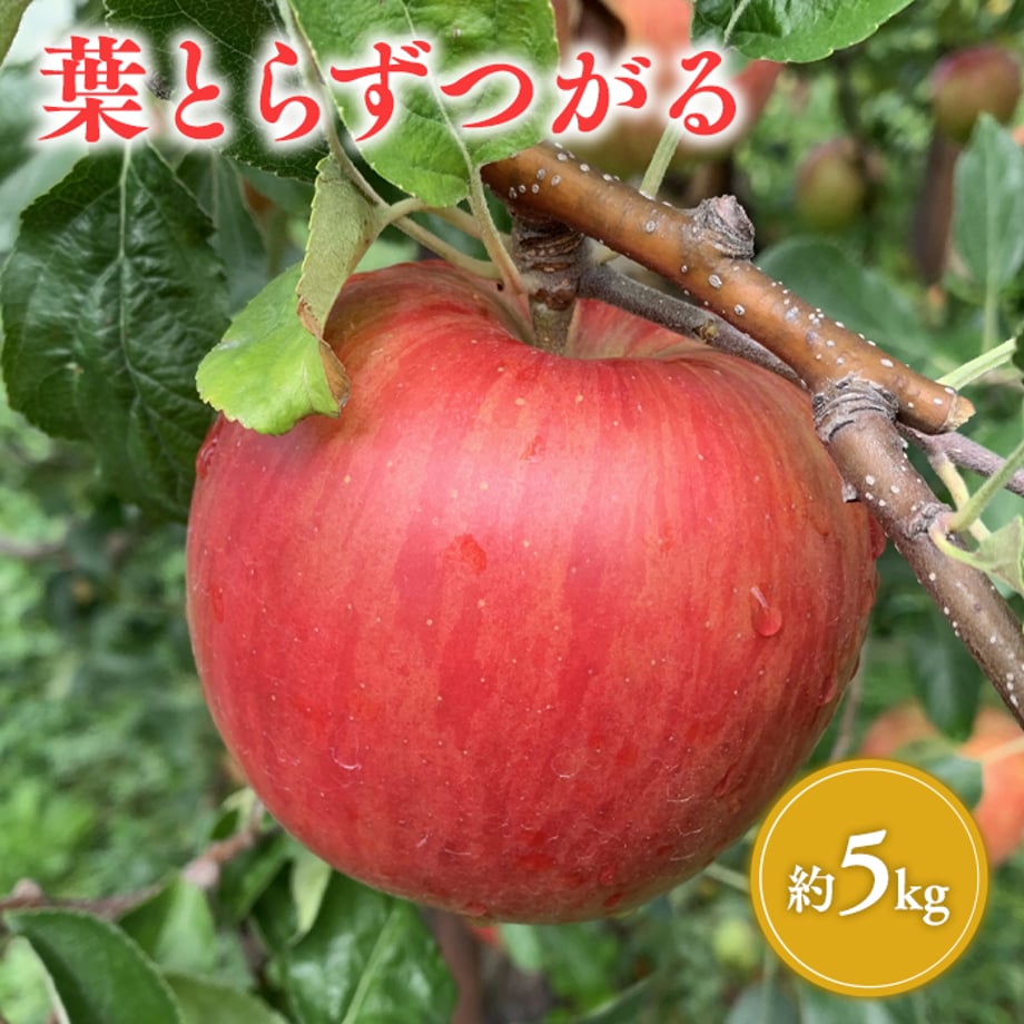 67344c65a625e8025e2c9cff