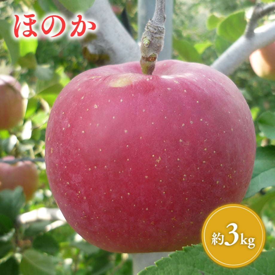 6734502fa625e803872c9bc3