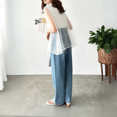 sheer layered frenchsleeve top　MA1568