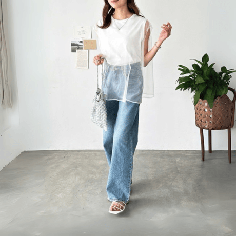 sheer layered frenchsleeve top　MA1568