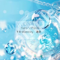 1stシングルCD「それはDestiny〜運命〜」