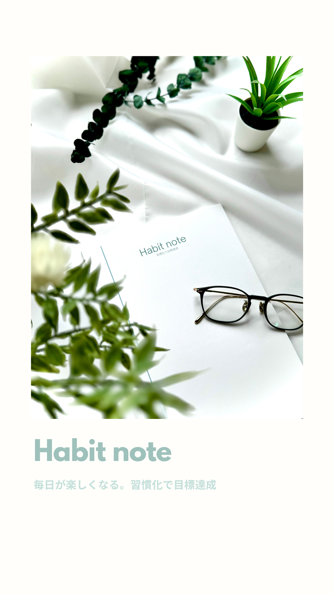 Habitnote store