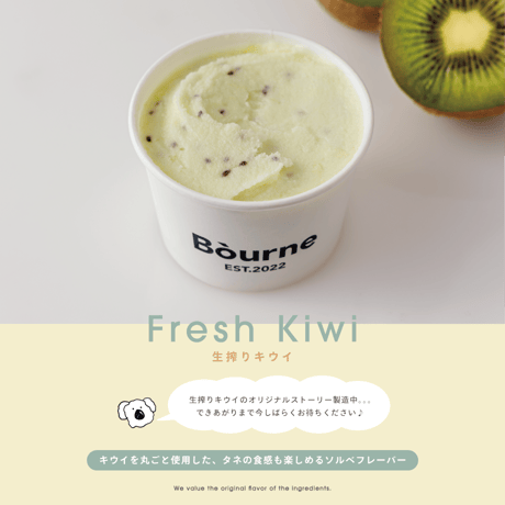 《送料無料》定番＋おすすめBòurneジェラート8個set