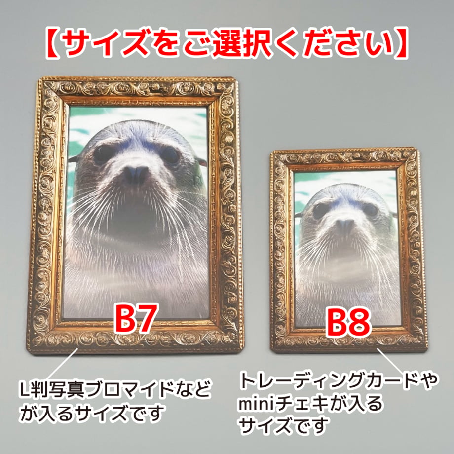 672befa3f257811e82f69d7f