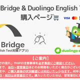 DET-Bridge