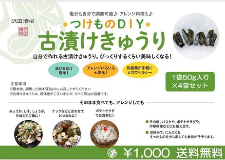 つけものDIY 古漬けきゅうり 50g×4袋セット