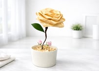 ひのきのウッドローズ素朴な1輪ギフト｜消臭・芳香 多可檜チップ使用