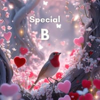 Special B（専用）