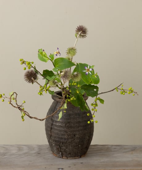 季節の野の花定期便Mサイズ-3回コース-