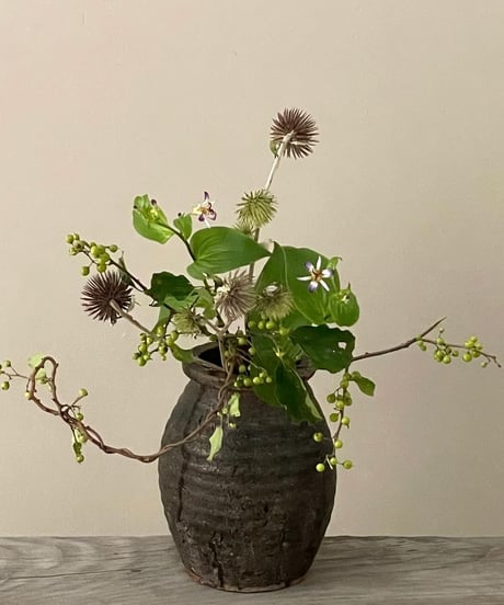 季節の野の花ーおまかせ便Lー