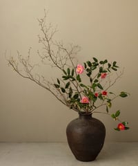 季節の野の花ーおまかせ便Lー