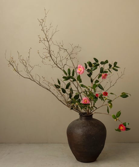 季節の野の花ーおまかせ便Lー