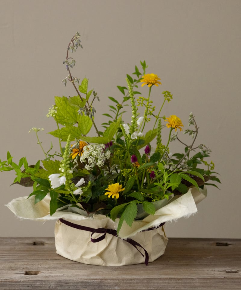 季節のアレンジメントS | 野道